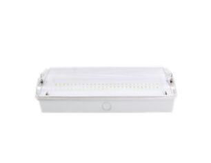 Emergency light-Self contained-Surface Type