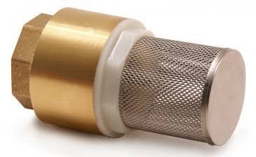 Foot Valve 2 1/2″