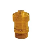 1in Automatic Air Release Valve