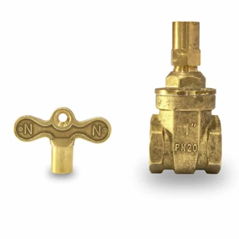 1″ Lock Shield Valve with Key